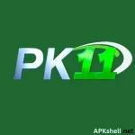 PK11 Game