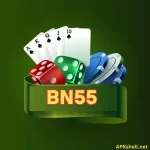 BN55