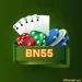 BN55