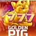 Golden Pig 777