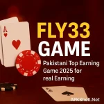 Fly33