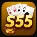 S55 Game
