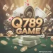Q789 Game