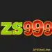 ZS999 Game